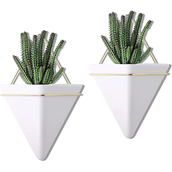 Ivy Bronx Bohdi Wall Planter Wayfair